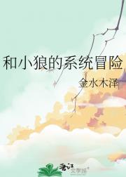 和小狼的系统冒险
