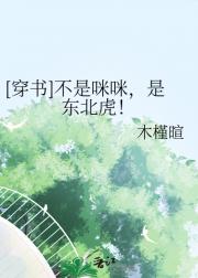 [穿书]不是咪咪，是东北虎！
