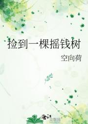 捡到一棵摇钱树