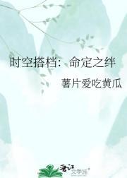 时空搭档：命定之绊