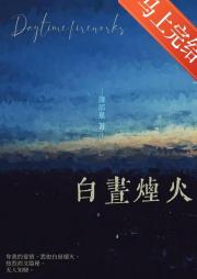 白昼烟火[校园]