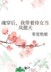 魂穿后，我带着侍女当凤傲天