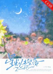 星光从未坠落