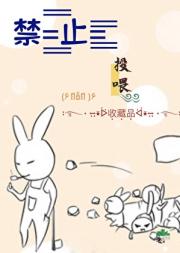 违规收藏法则