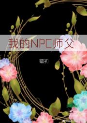 我的NPC师父