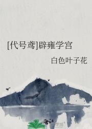 代号鸢：辟雍学宫