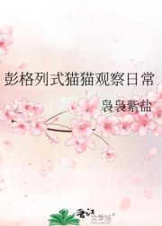 彭格列式猫猫观察日常