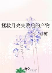 拯救月亮失败后的产物