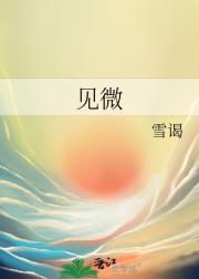 见微