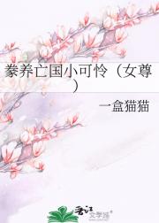 请妻多垂怜（女尊）