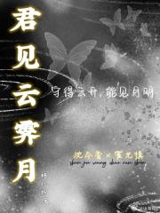 君见云霁月