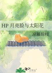 HP 月亮脸与太阳花