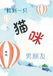 捡到一只猫咪男朋友
