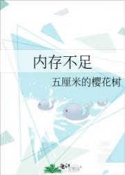 内存不足