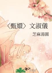 〈甄嬛〉文淑儀
