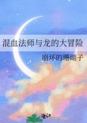 混血法师与龙的大冒险