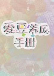 爱豆养成手册