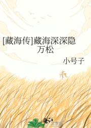 [藏海传]藏海深深隐万松