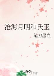 沧海月明和氏玉