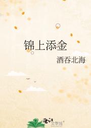 锦上添金