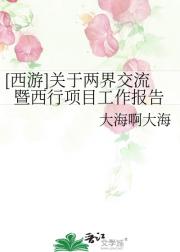 [西游]关于两界交流暨西行项目工作报告