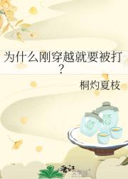 为什么刚穿越就要被打？