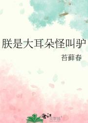 朕是大耳朵怪叫驴
