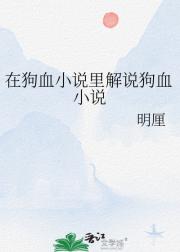 在狗血小说里解说狗血小说