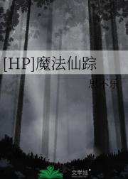 [HP]魔法仙踪