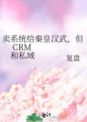 卖系统给秦皇汉武，但 CRM
和私域
