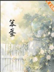 笨蛋