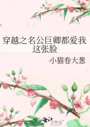 穿越之名公巨卿都爱我这张脸