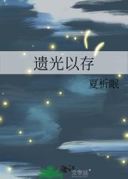 遗光以存