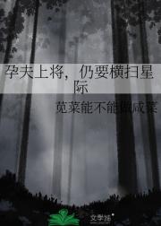 孕夫上将，仍要横扫星际