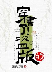 穿了个假书
