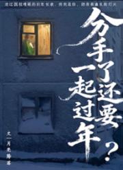 分手了还要一起过年？