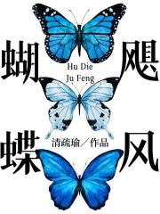 蝴蝶飓风