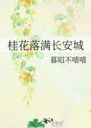 桂花落满长安城