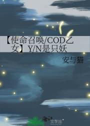 【使命召唤/COD乙女】Y/N是只妖