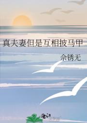 真夫妻但是互相披马甲