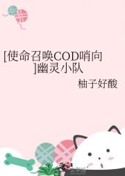 （COD）（哨向）幽灵小队