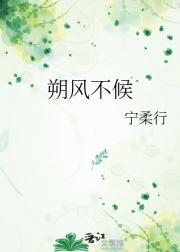 朔风不候