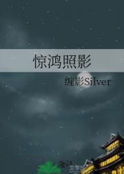 惊鸿照影