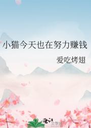 小猫今天也在努力赚钱