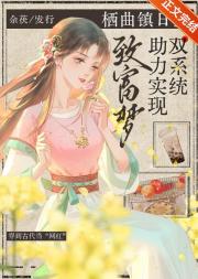 双系统助力实现致富梦