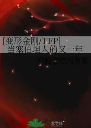 【变形金刚/TFP】当塞伯坦人的又一年