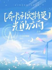 「希卡利奥特曼」光的方向