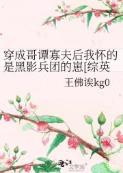 穿成哥谭寡夫后我怀的是黑影兵团的崽[综英