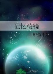 记忆棱镜