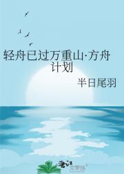 轻舟已过万重山·方舟计划